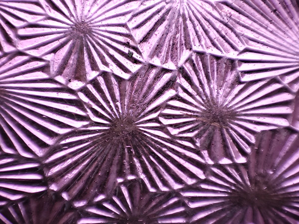 Pocophone-F2-Pro-macro-test-purple-glass.jpg