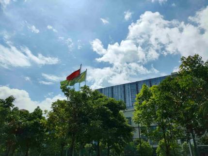 默认模式
